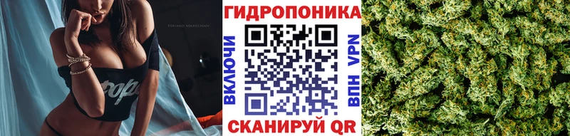 Канабис LSD WEED  где купить наркотик  Черноголовка 